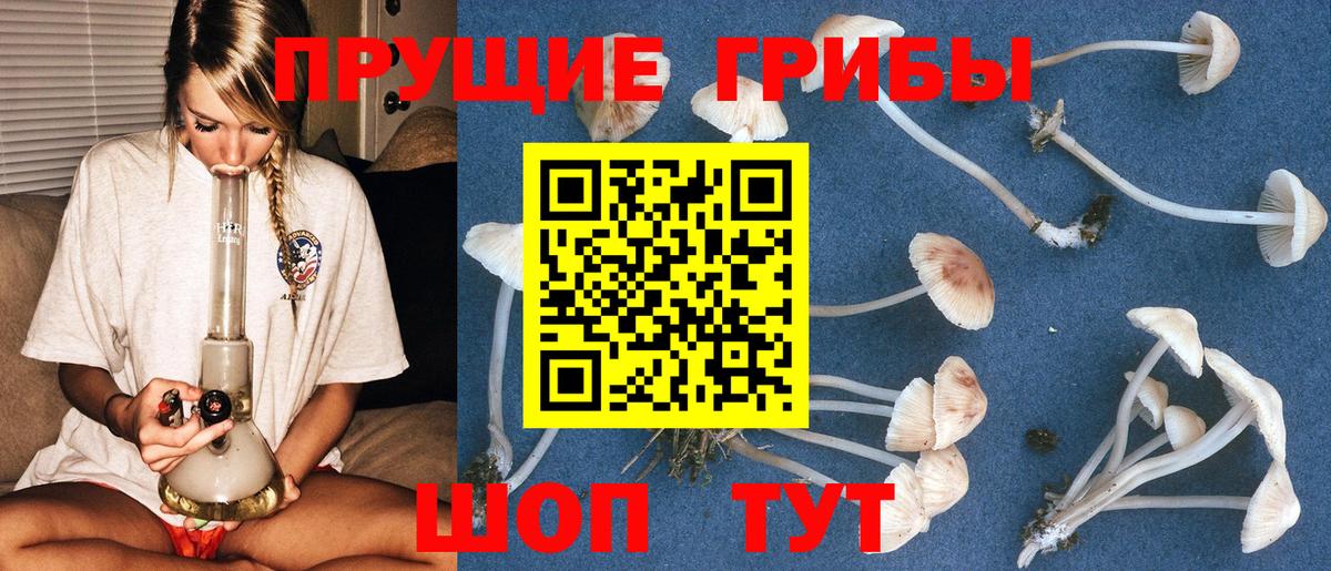 Миллерово  Галлюциногенные грибы мицелий  Вход с VPN 