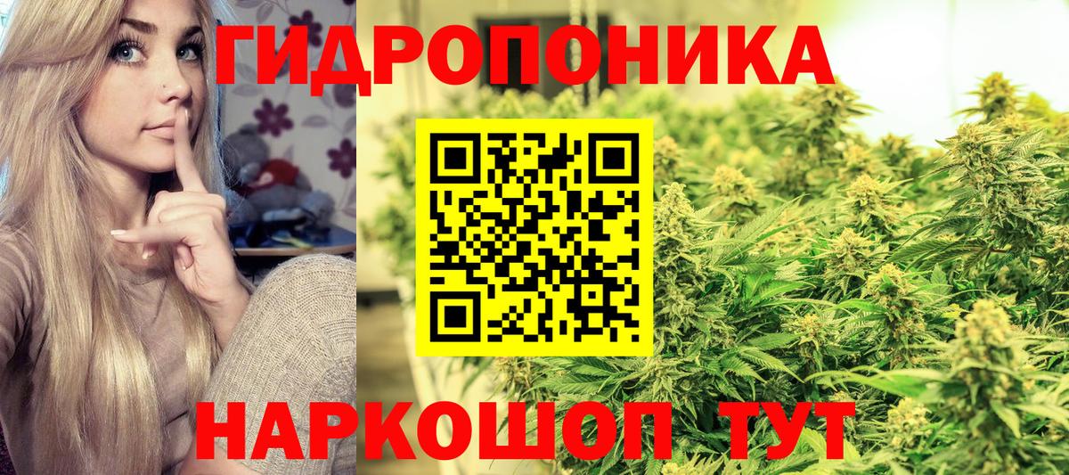 МАРИХУАНА план  Бошки Шишки MAZAR  Бошки марихуана THC 21%  Миллерово  Вход с VPN 